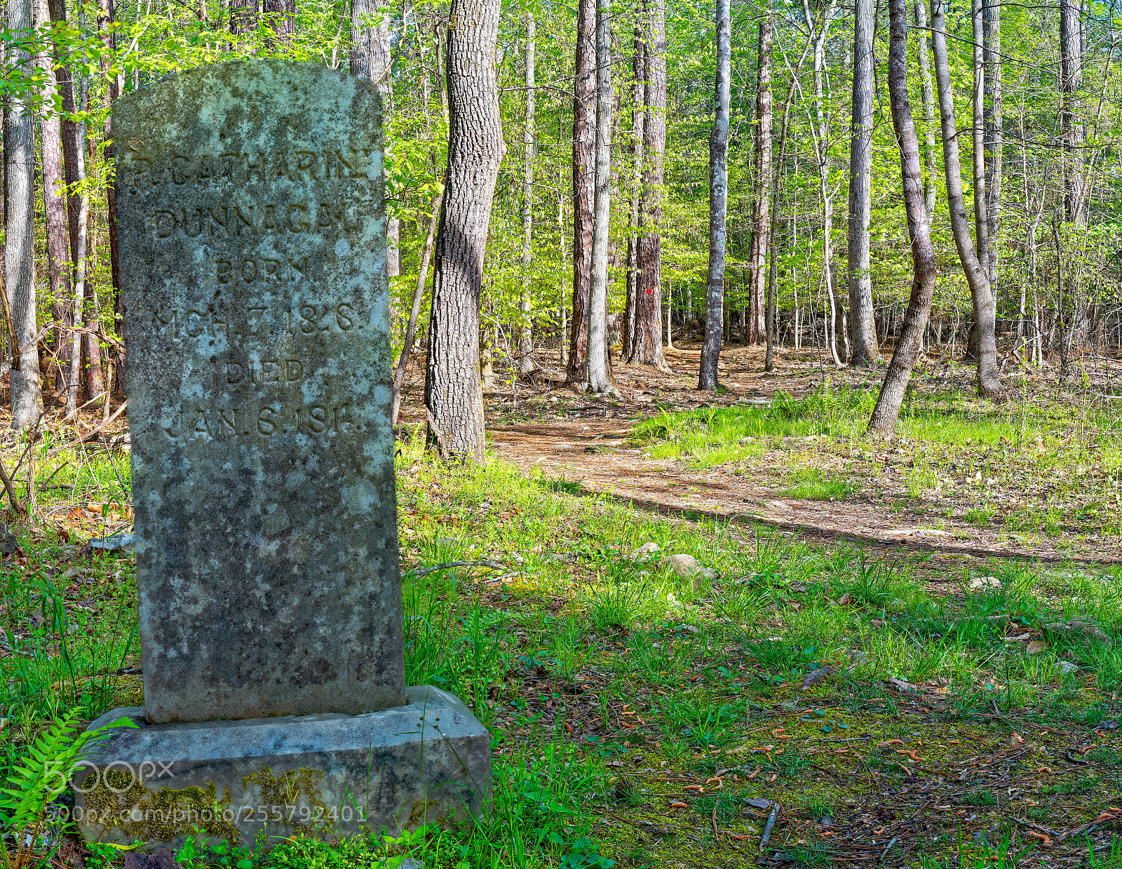 Sony a7R III sample photo. Enoriverparkdunnagantraildurhamnc panoedit photography