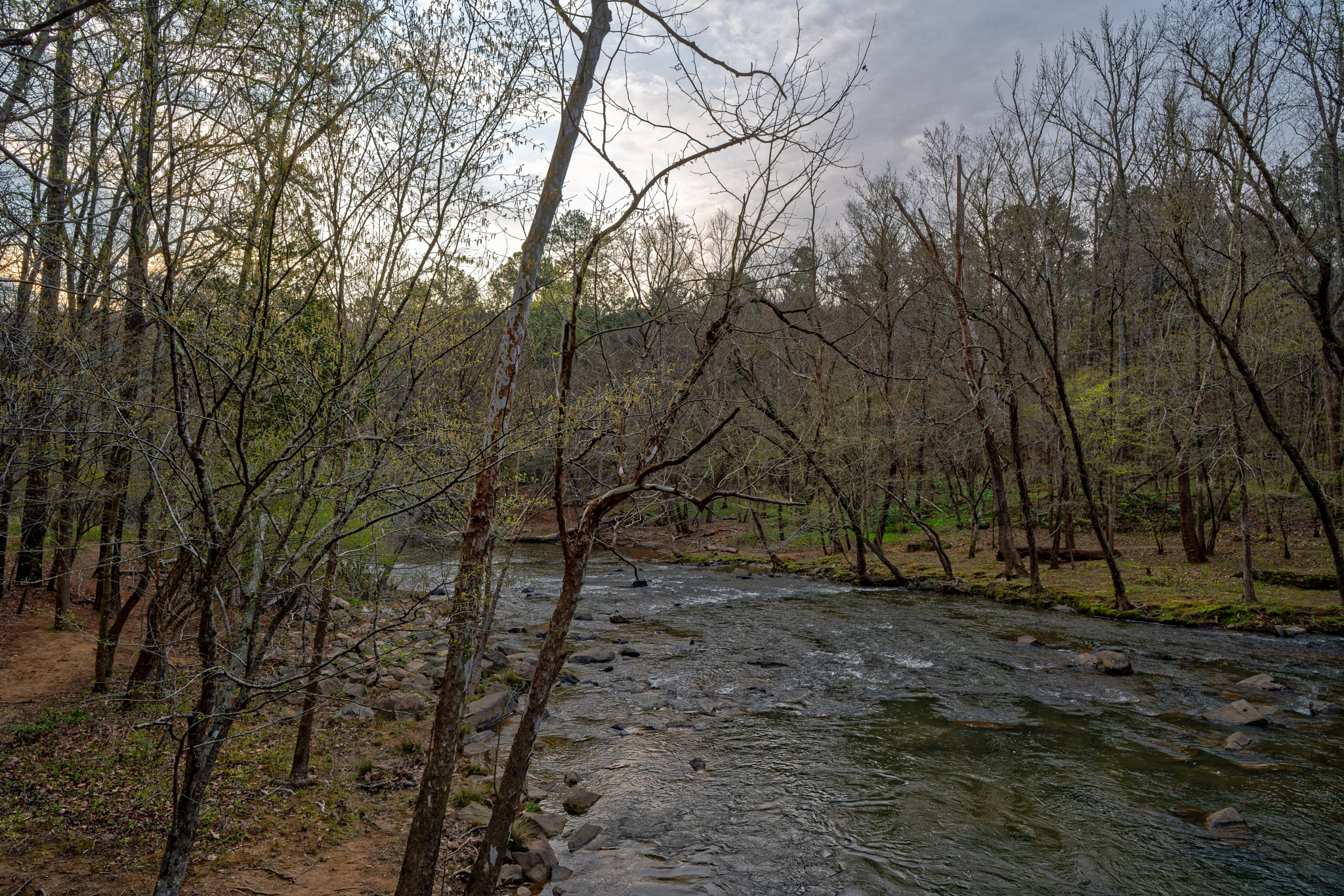 Sony a7R III + ZEISS Batis 25mm F2 sample photo. Enoriverparkdunnagan traildurhamnc photography