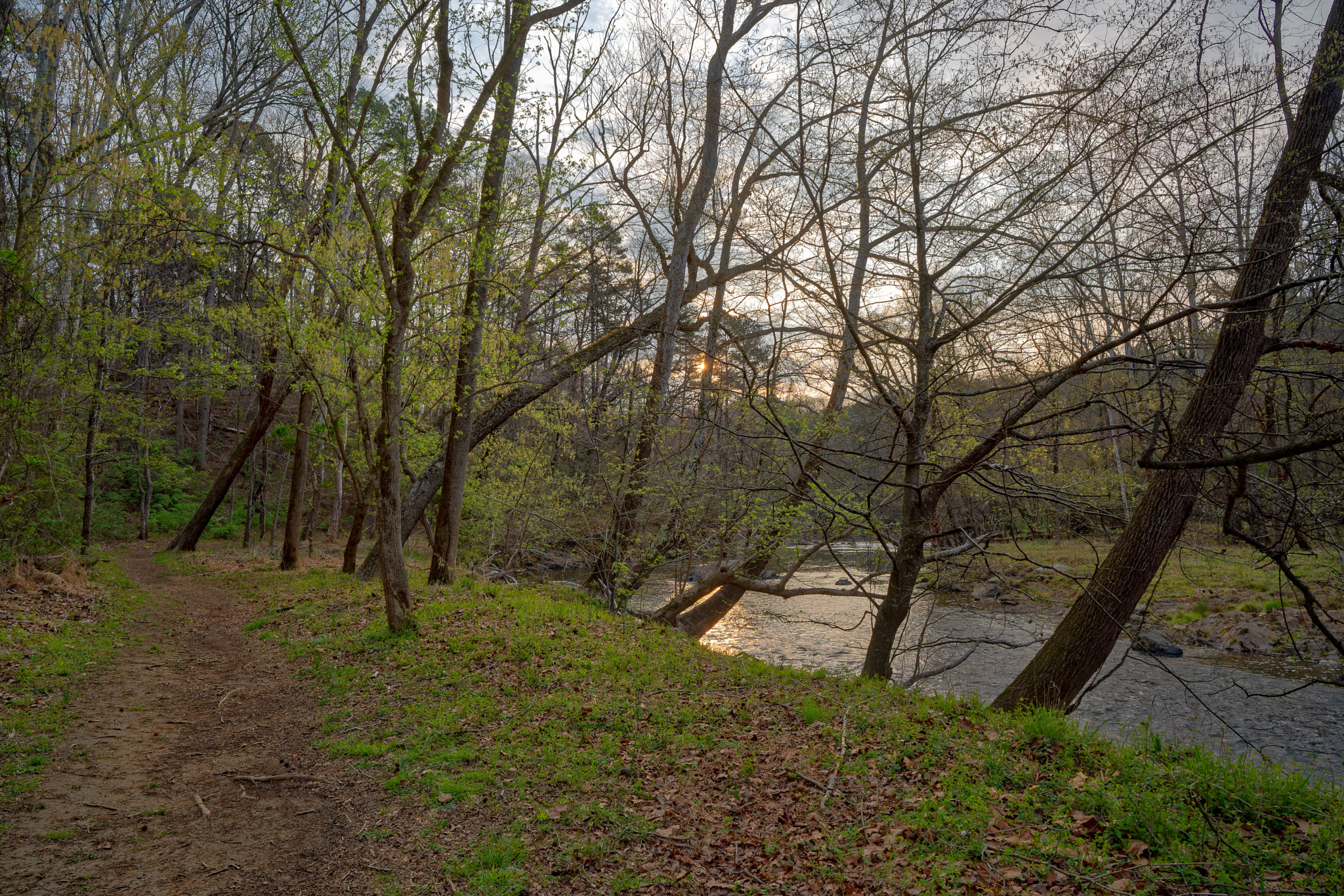 Sony a7R III + ZEISS Batis 25mm F2 sample photo. Enoriverparkdunnagan traildurhamnc photography