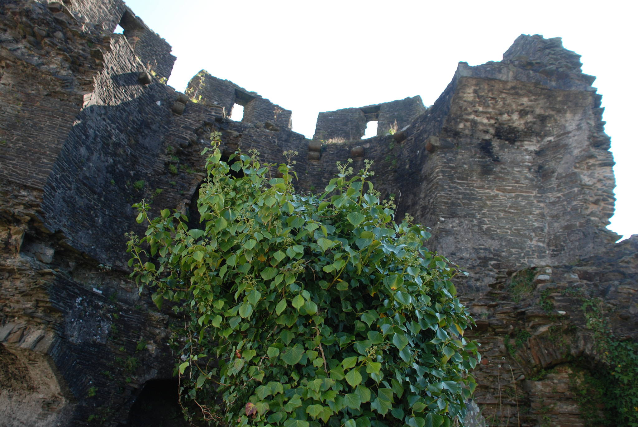Nikon D80 sample photo. Caerphilly castle photography
