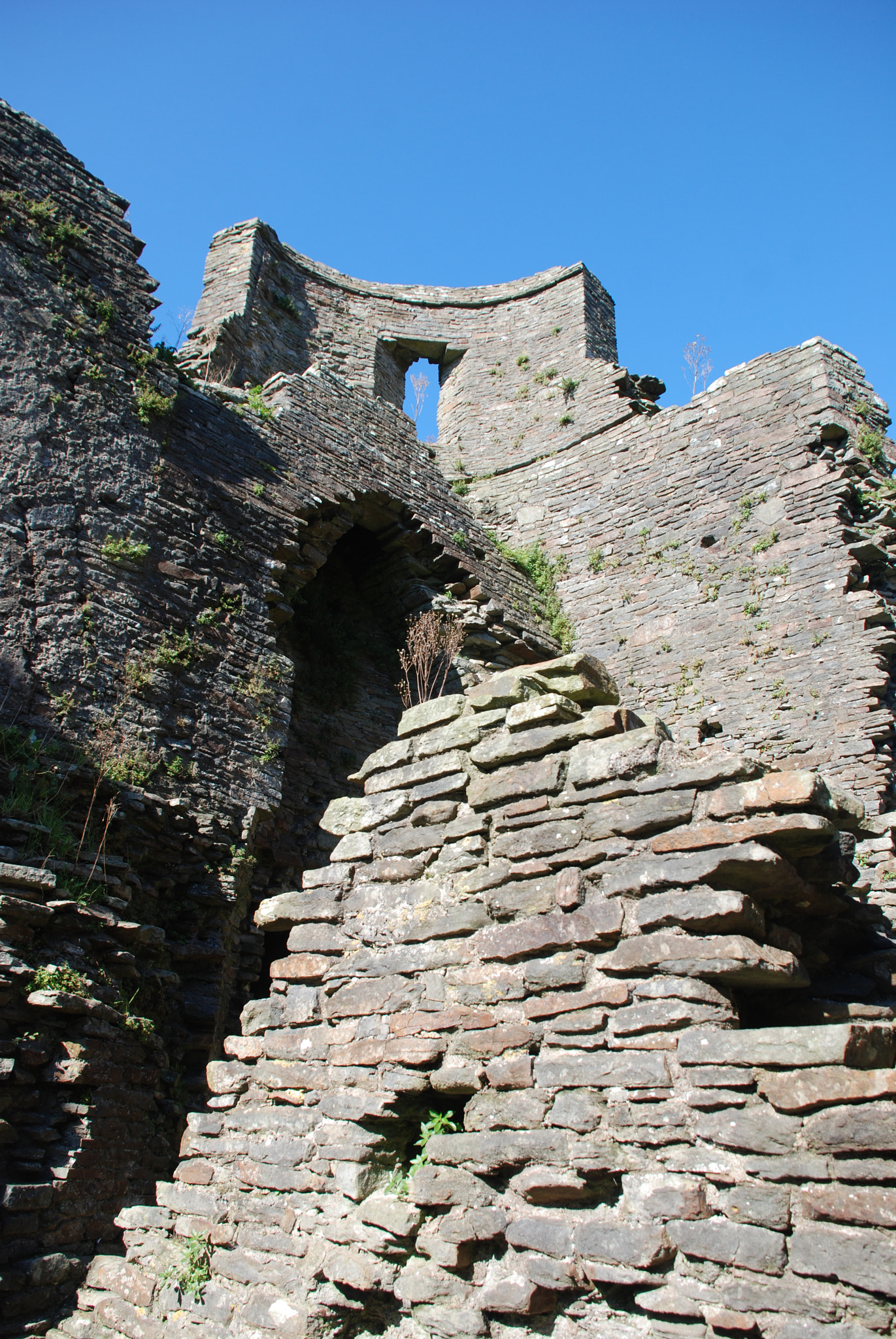 Nikon D80 sample photo. Caerphilly castle photography