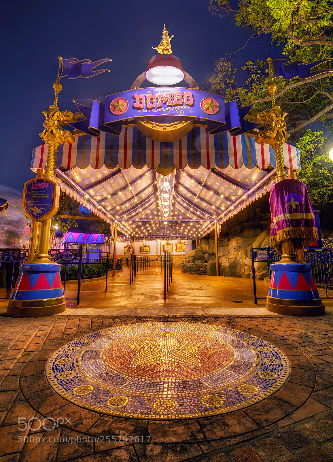 Nikon D7100 sample photo. Come see the amazing photography