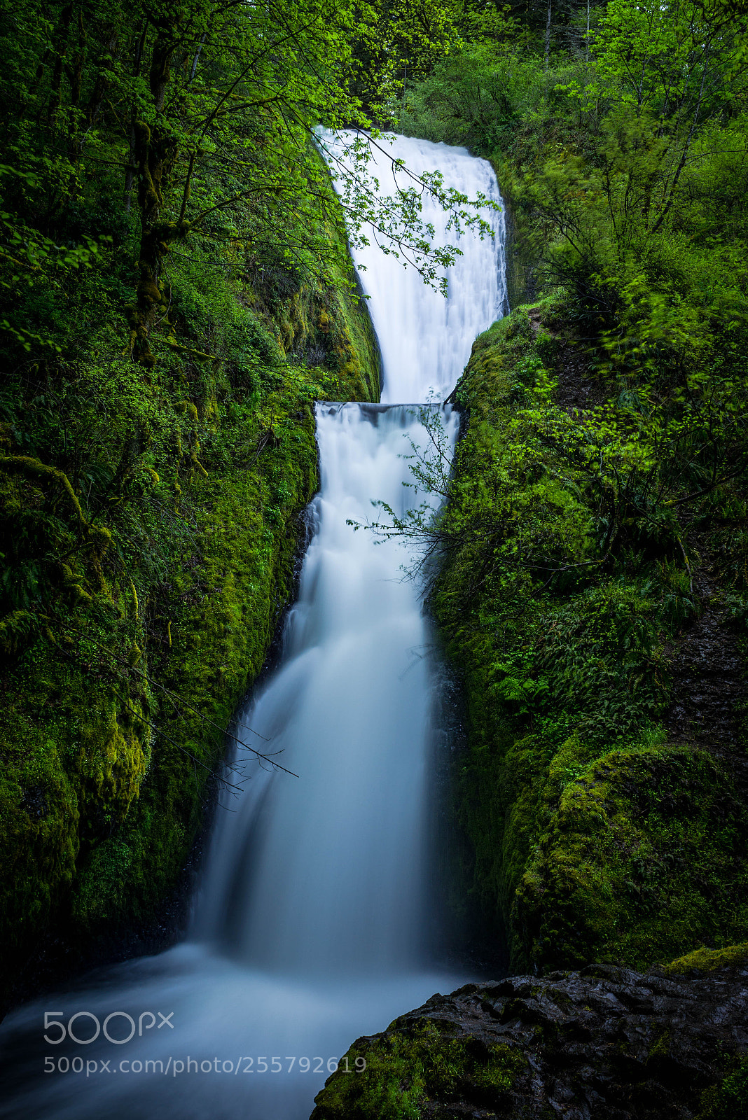 Nikon D610 sample photo. Bridal veil falls, oregon photography