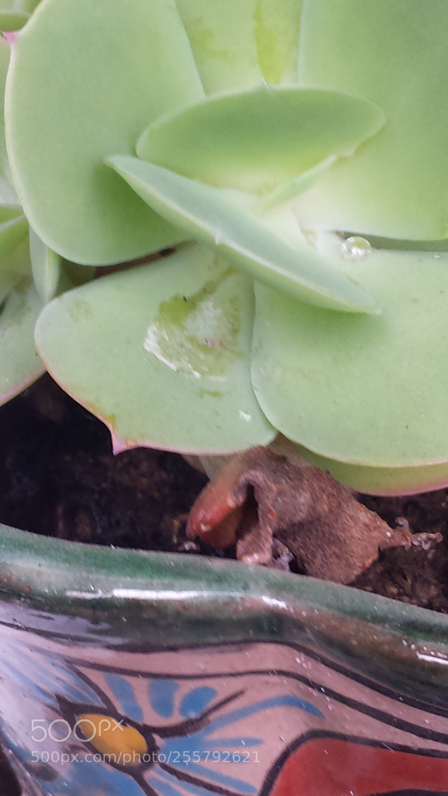 Samsung Galaxy S4 sample photo. Untitled photography