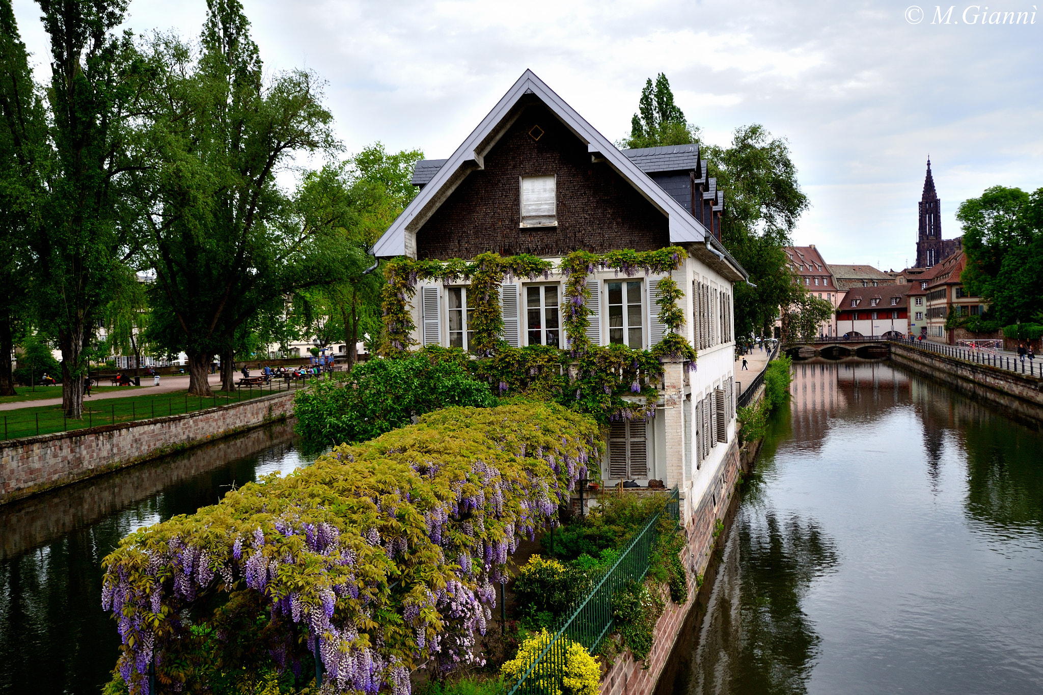 Nikon D3100 + Sigma 10-20mm F3.5 EX DC HSM sample photo. Grande ile - strasbourg photography