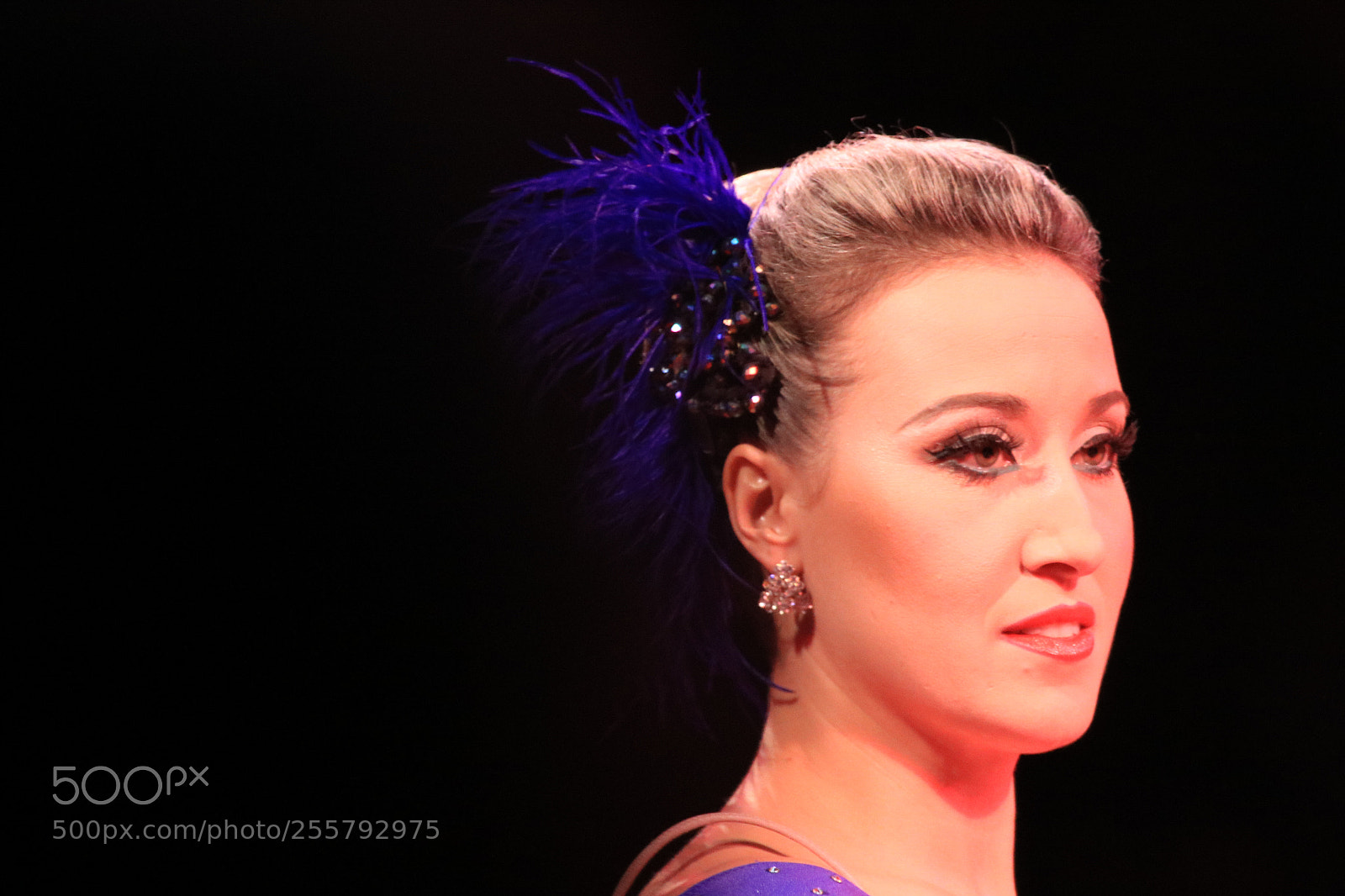 Canon EOS 760D (EOS Rebel T6s / EOS 8000D) sample photo. Circo photography