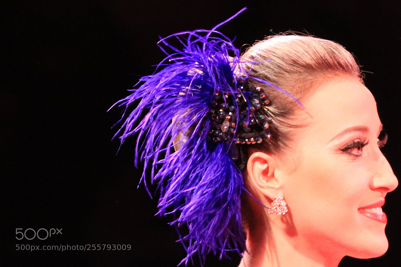 Canon EOS 760D (EOS Rebel T6s / EOS 8000D) sample photo. Circo photography