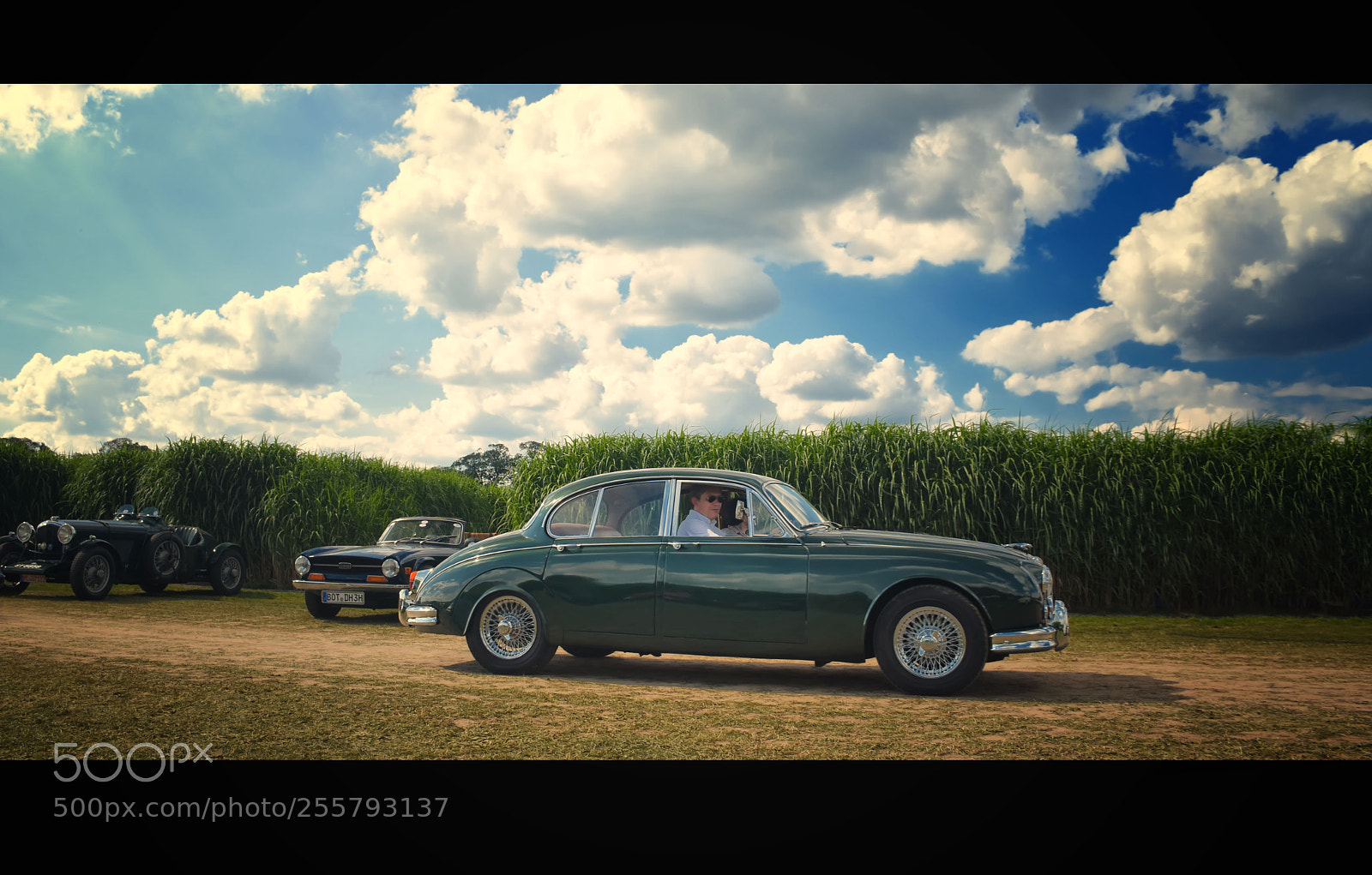 Nikon D7200 sample photo. Jaguar mk ii photography