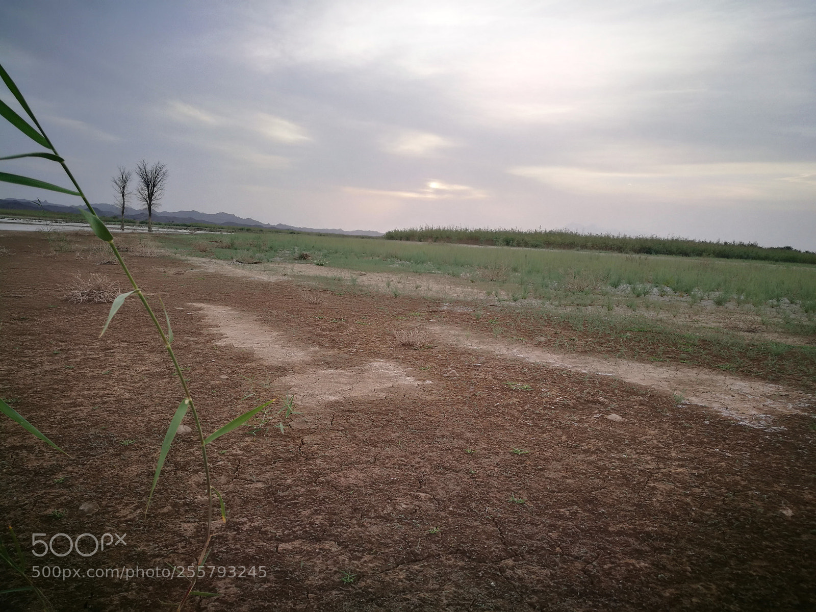 HUAWEI P9 sample photo. Bdr photography