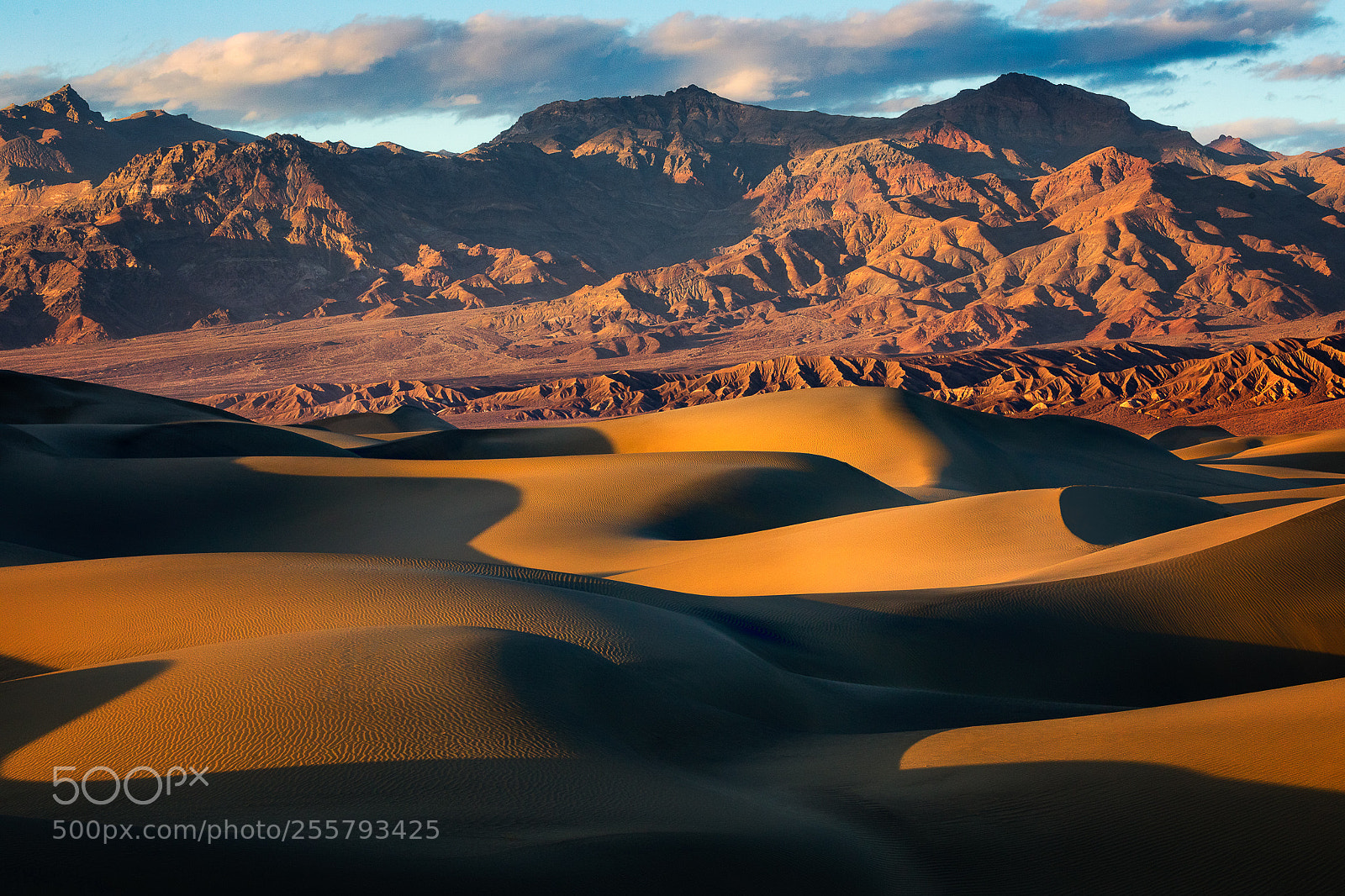 Canon EOS 5D Mark IV sample photo. More dunes ii photography