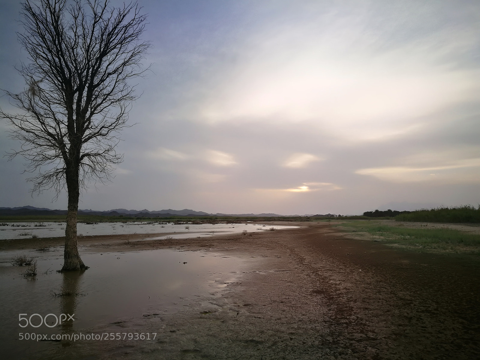 HUAWEI P9 sample photo. Bdr photography