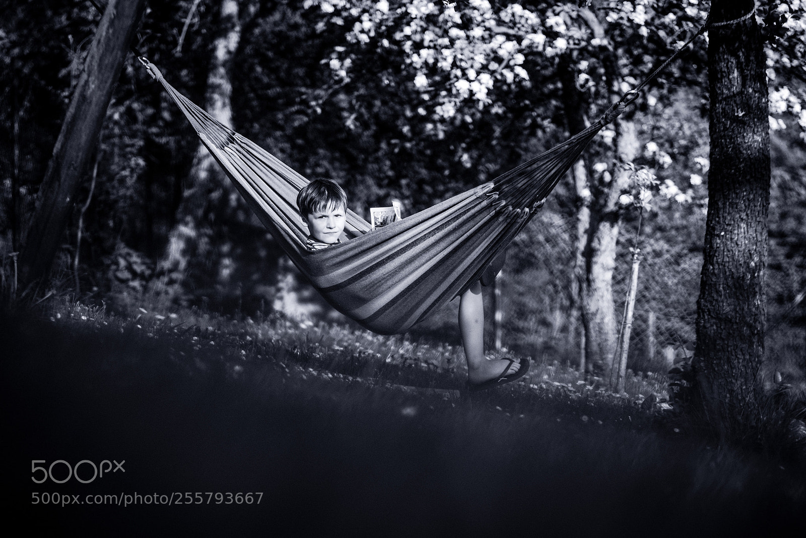 Fujifilm X-Pro2 sample photo. Swing photography