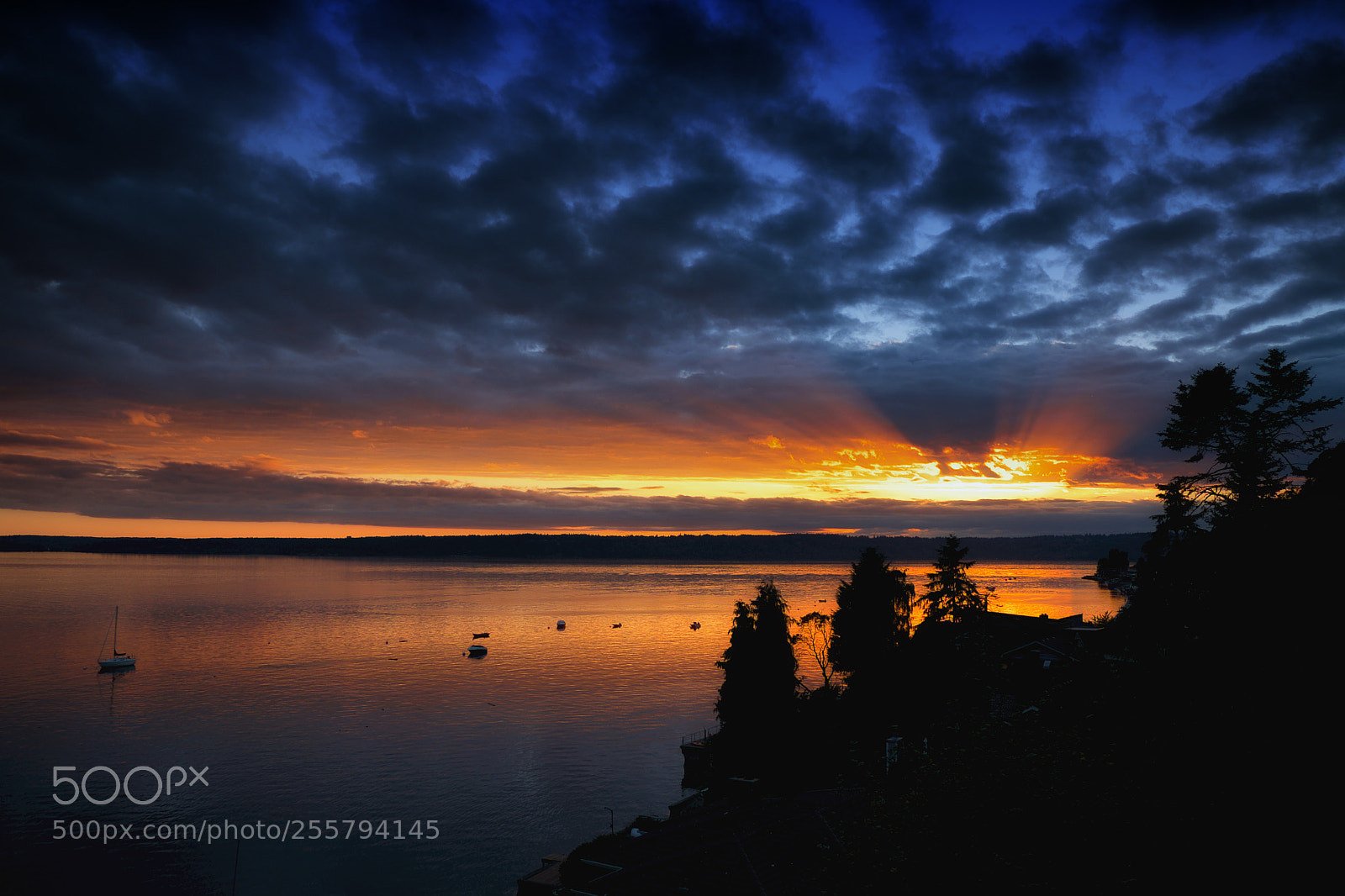 Fujifilm X-E2 sample photo. Puget sound photography