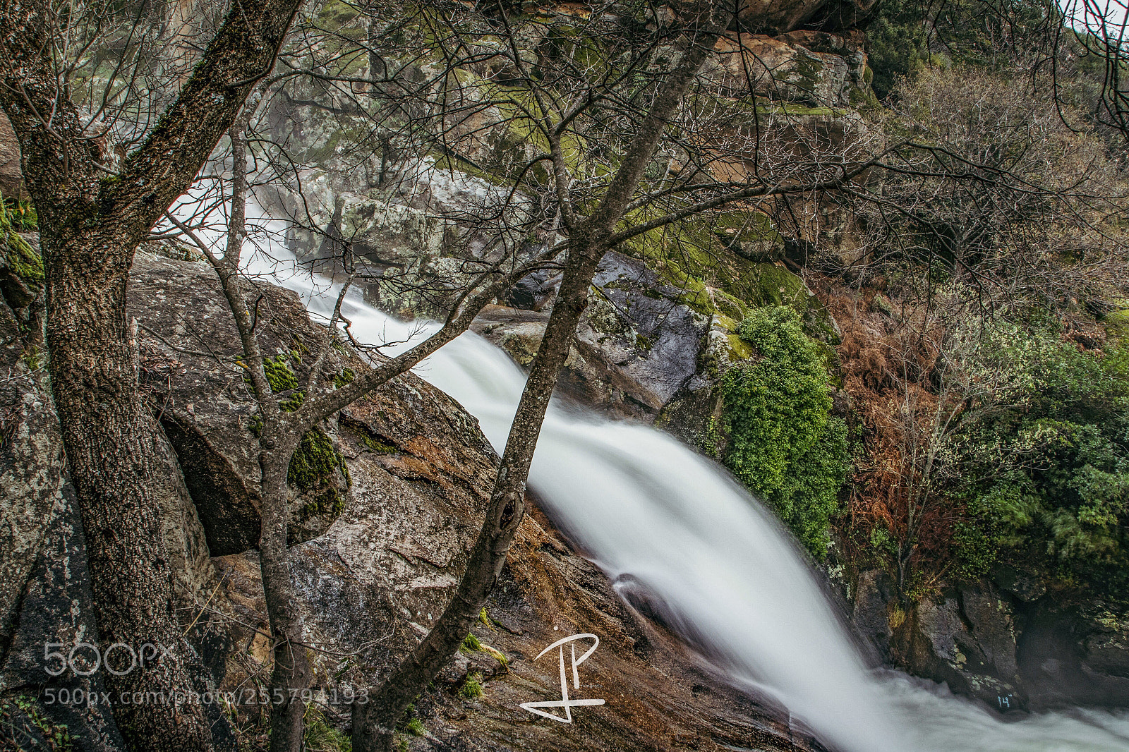 Nikon D500 sample photo. Water runs photography