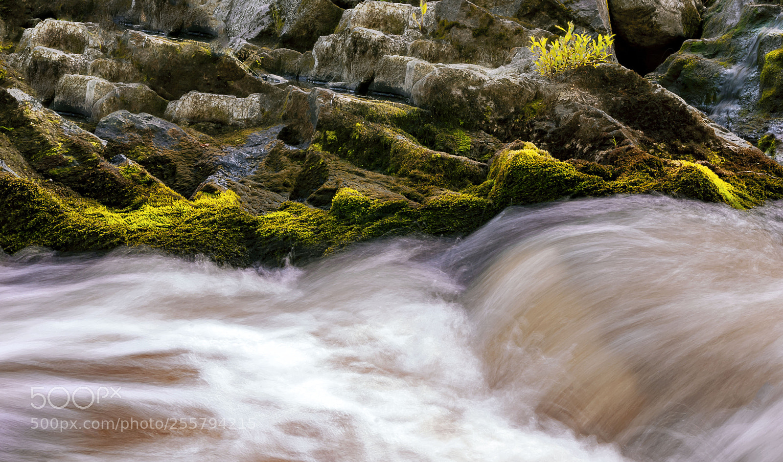 Nikon D80 sample photo. Stone and water photography