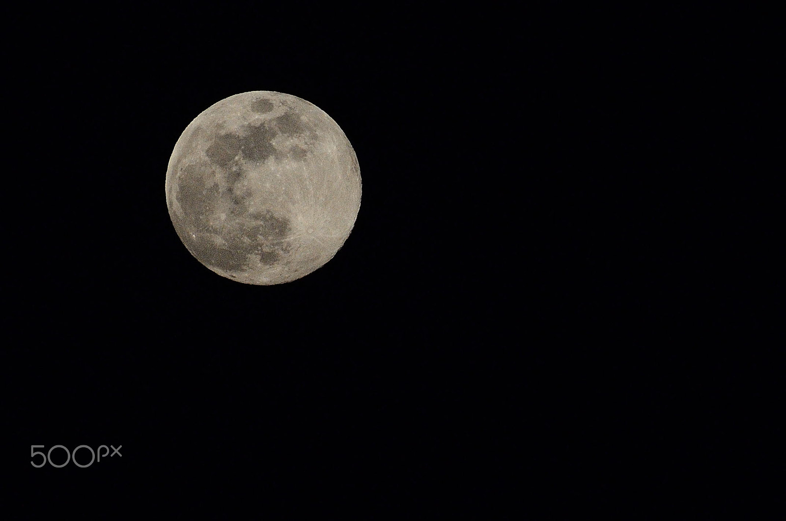 Sigma 70-300mm F4-5.6 APO DG Macro sample photo. Dolunay photography