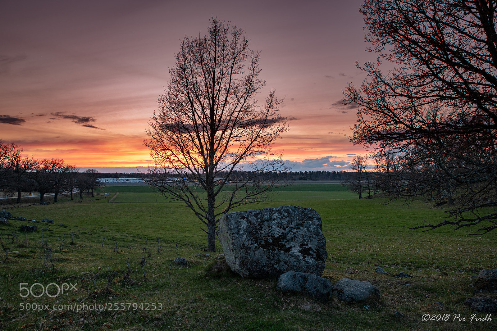 Nikon D850 sample photo. Sunset photography