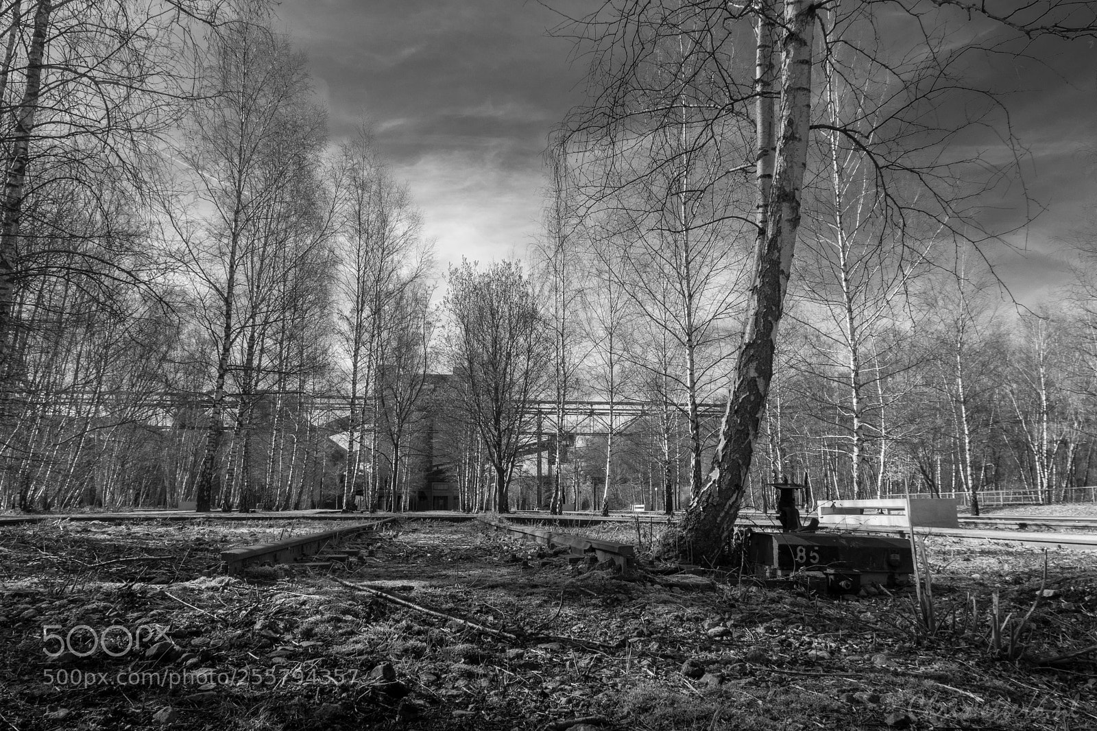 Canon EOS 80D sample photo. Zollverein photography