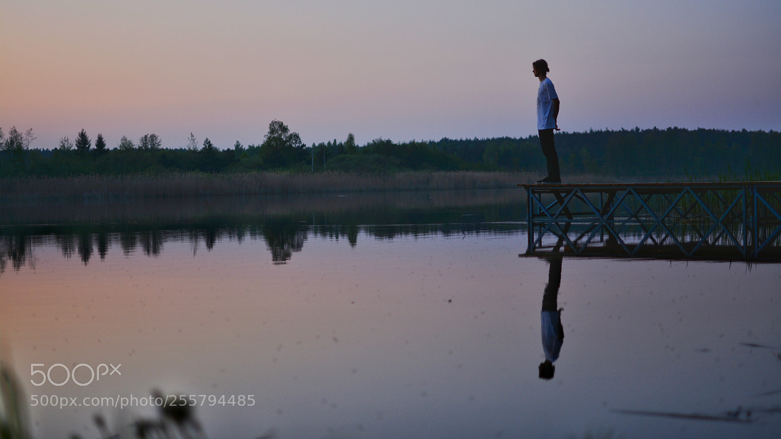 Nikon D5200 sample photo. Reflection photography
