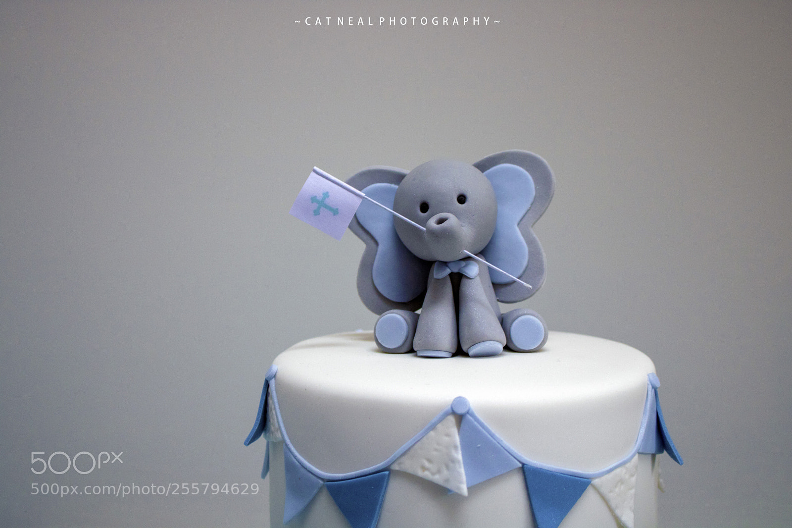 Canon EOS 750D (EOS Rebel T6i / EOS Kiss X8i) sample photo. Cake photography