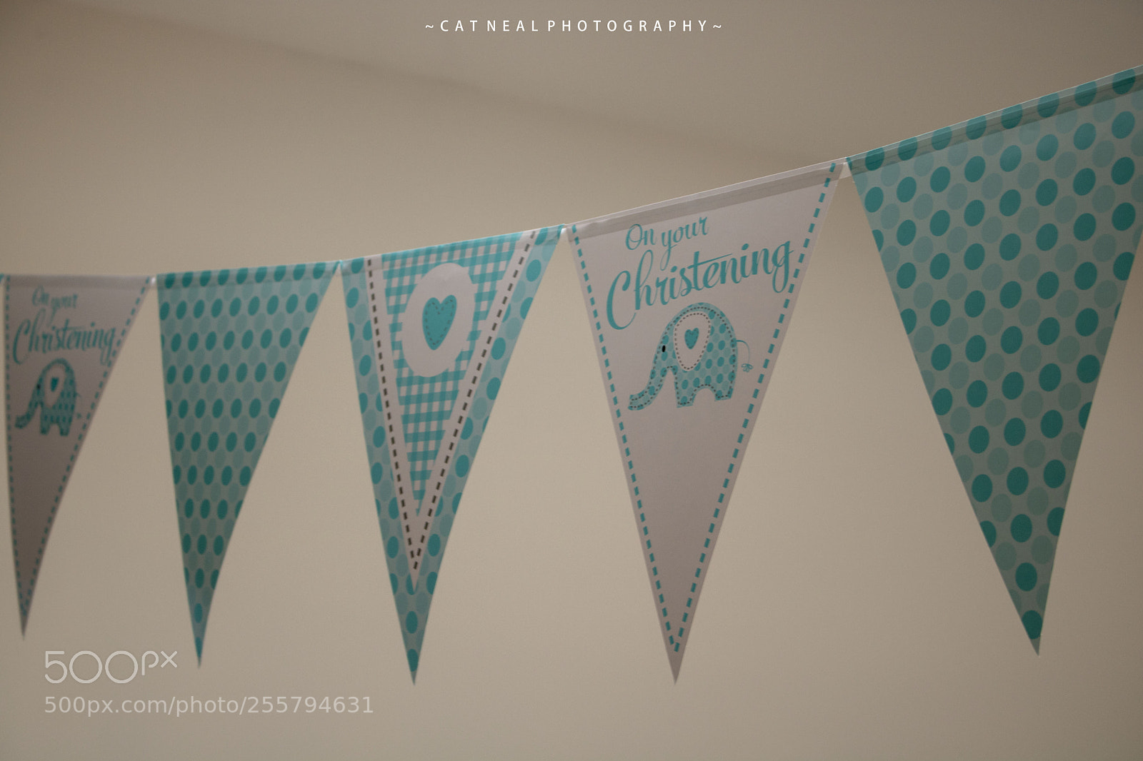 Canon EOS 750D (EOS Rebel T6i / EOS Kiss X8i) sample photo. Bunting photography