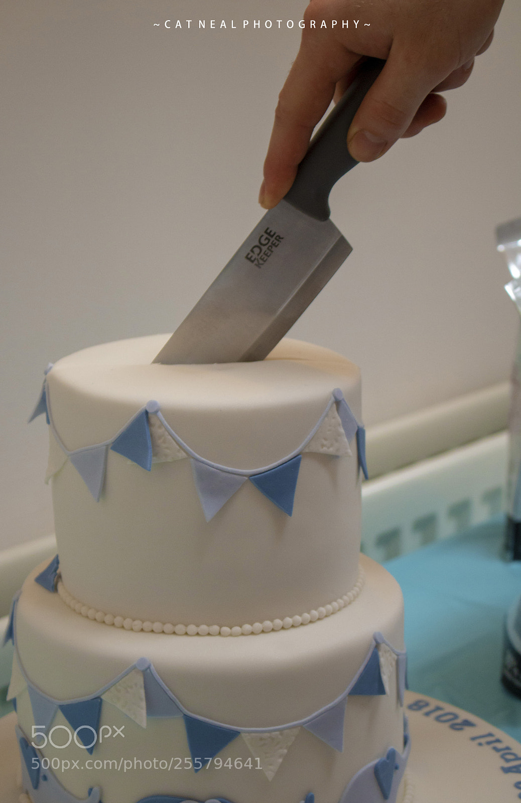 Canon EOS 750D (EOS Rebel T6i / EOS Kiss X8i) sample photo. Cake cutting photography
