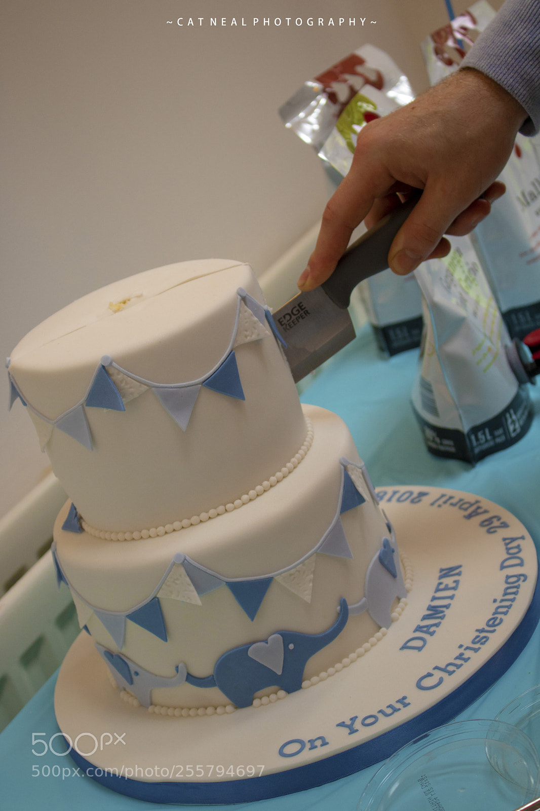 Canon EOS 750D (EOS Rebel T6i / EOS Kiss X8i) sample photo. Cake cutting photography
