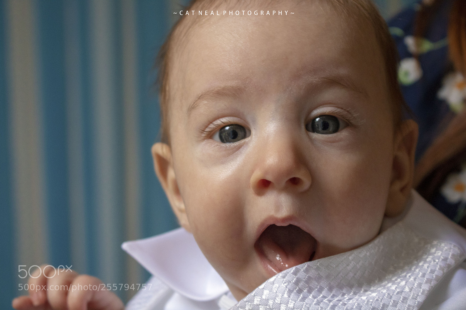 Canon EOS 750D (EOS Rebel T6i / EOS Kiss X8i) sample photo. Damien photography