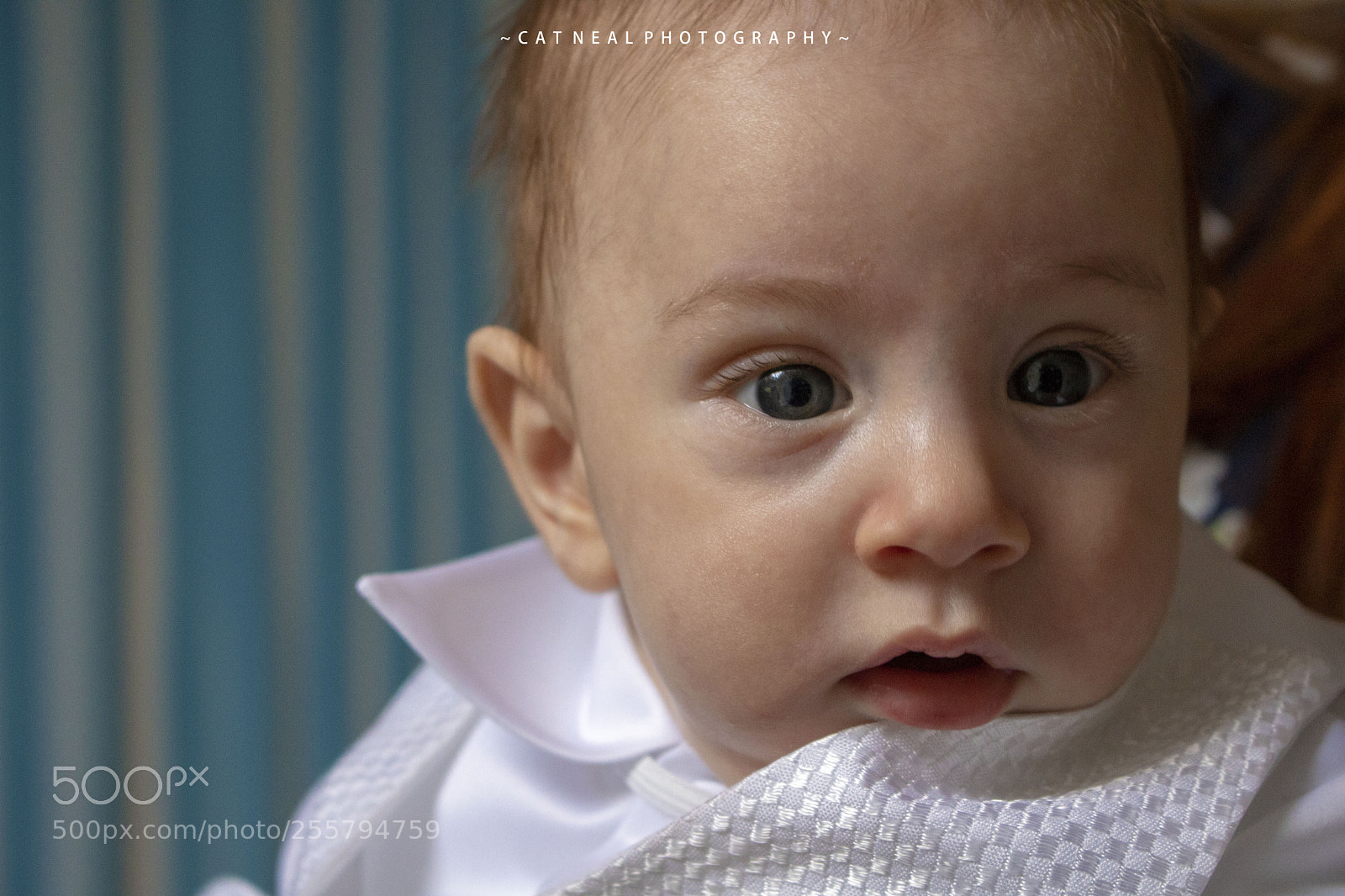 Canon EOS 750D (EOS Rebel T6i / EOS Kiss X8i) sample photo. Damien photography