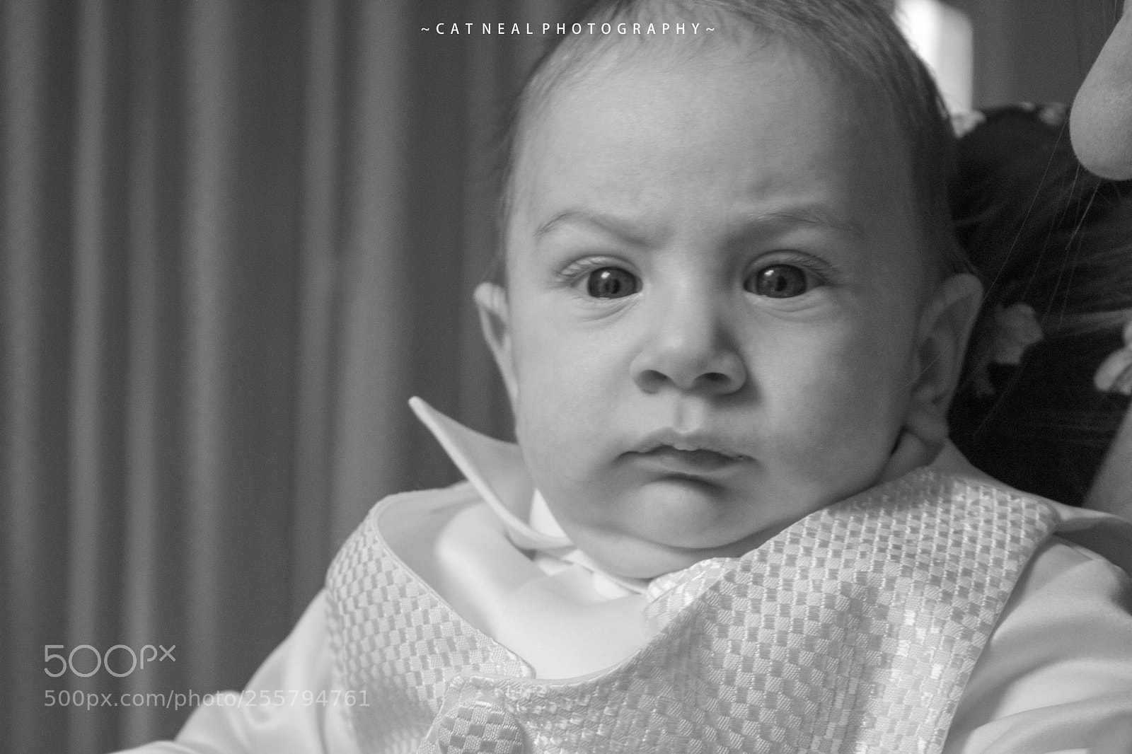 Canon EOS 750D (EOS Rebel T6i / EOS Kiss X8i) sample photo. Damien photography