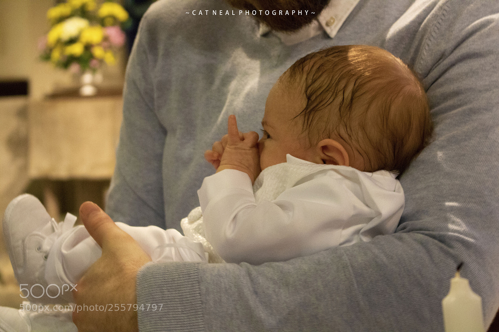 Canon EOS 750D (EOS Rebel T6i / EOS Kiss X8i) sample photo. Damien photography