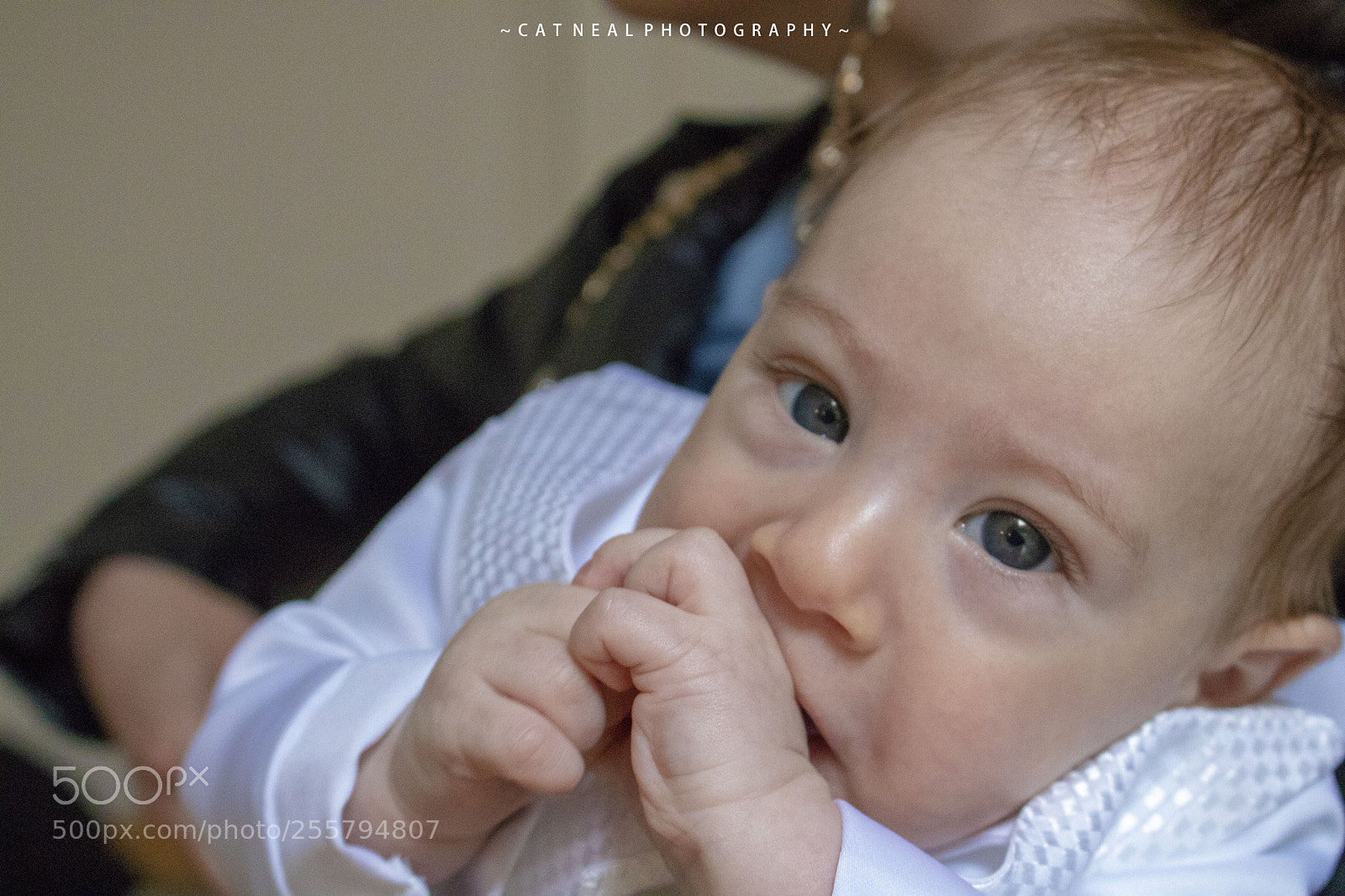 Canon EOS 750D (EOS Rebel T6i / EOS Kiss X8i) sample photo. Damien photography