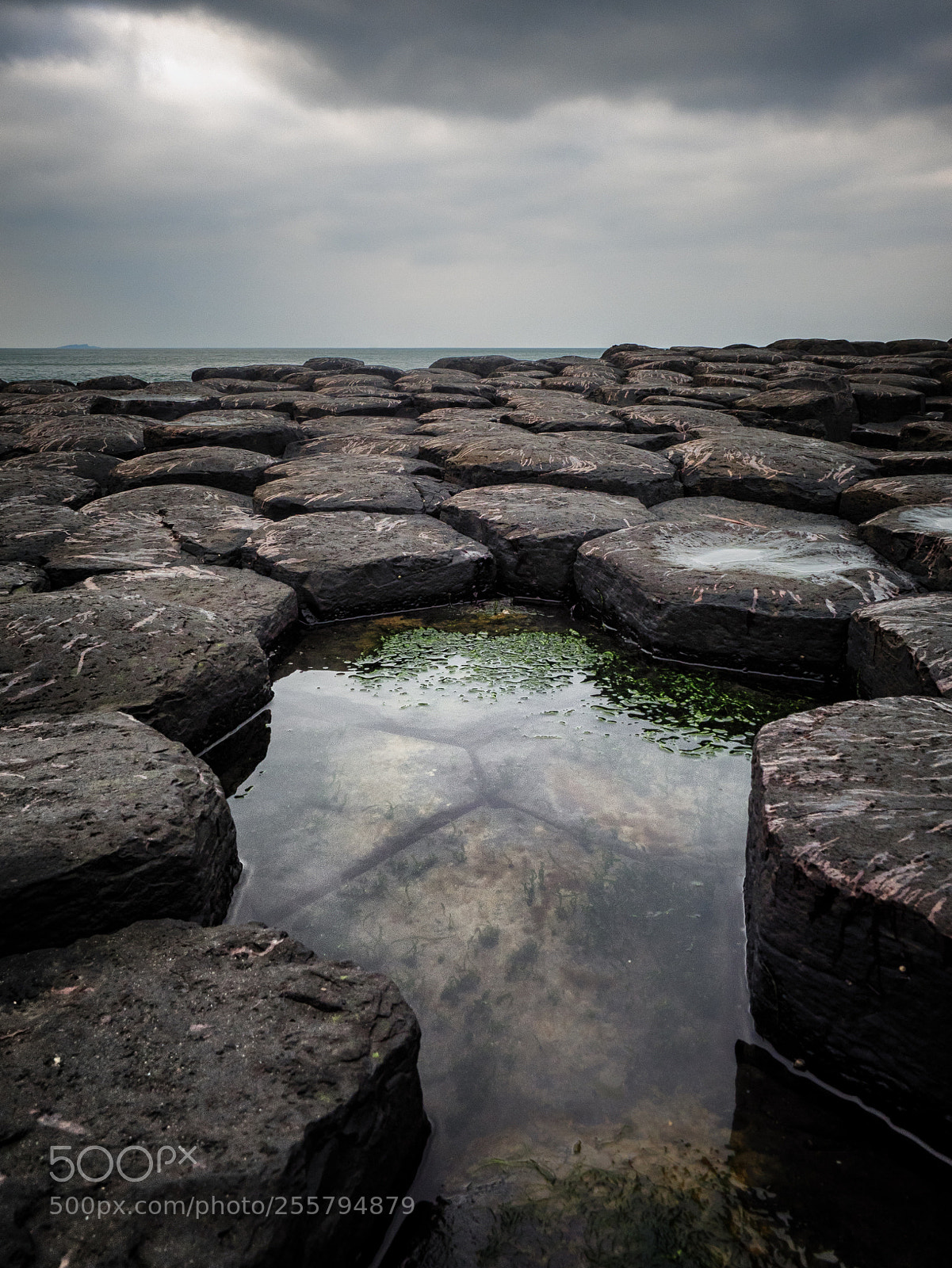 Olympus OM-D E-M1 sample photo. Giants causeway photography
