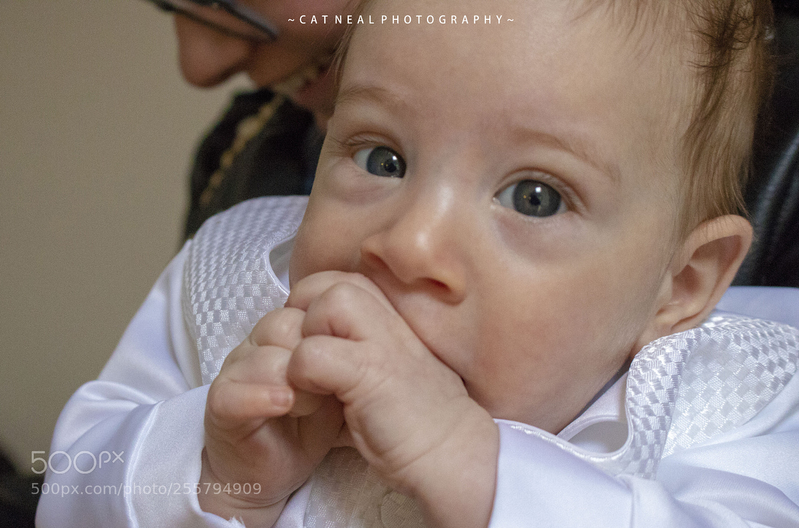 Canon EOS 750D (EOS Rebel T6i / EOS Kiss X8i) sample photo. Damien photography