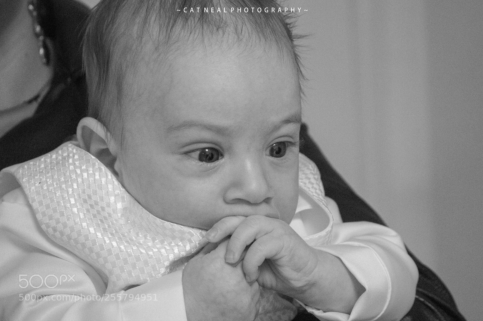 Canon EOS 750D (EOS Rebel T6i / EOS Kiss X8i) sample photo. Damien photography