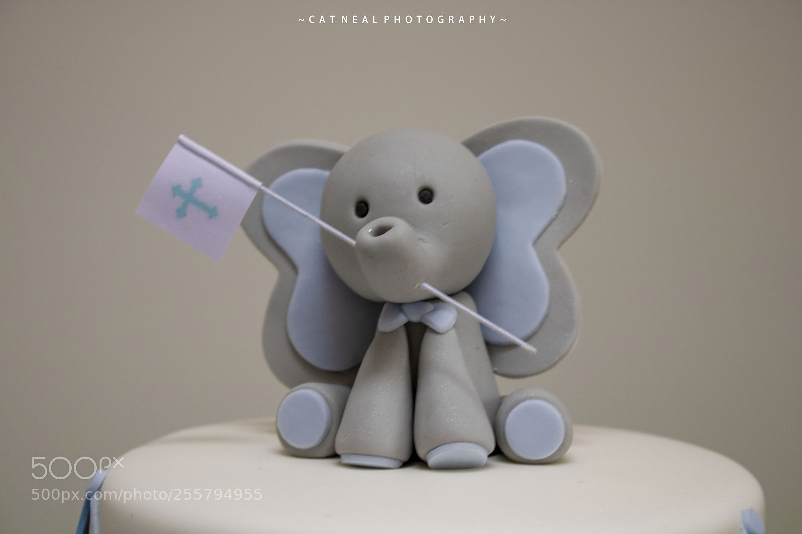 Canon EOS 750D (EOS Rebel T6i / EOS Kiss X8i) sample photo. Elephant photography