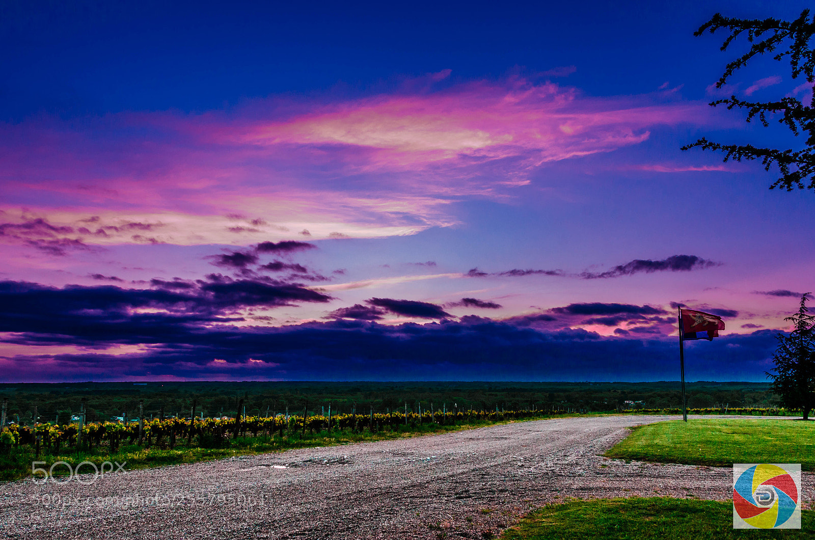Nikon D5100 sample photo. Rayne vigneau photography