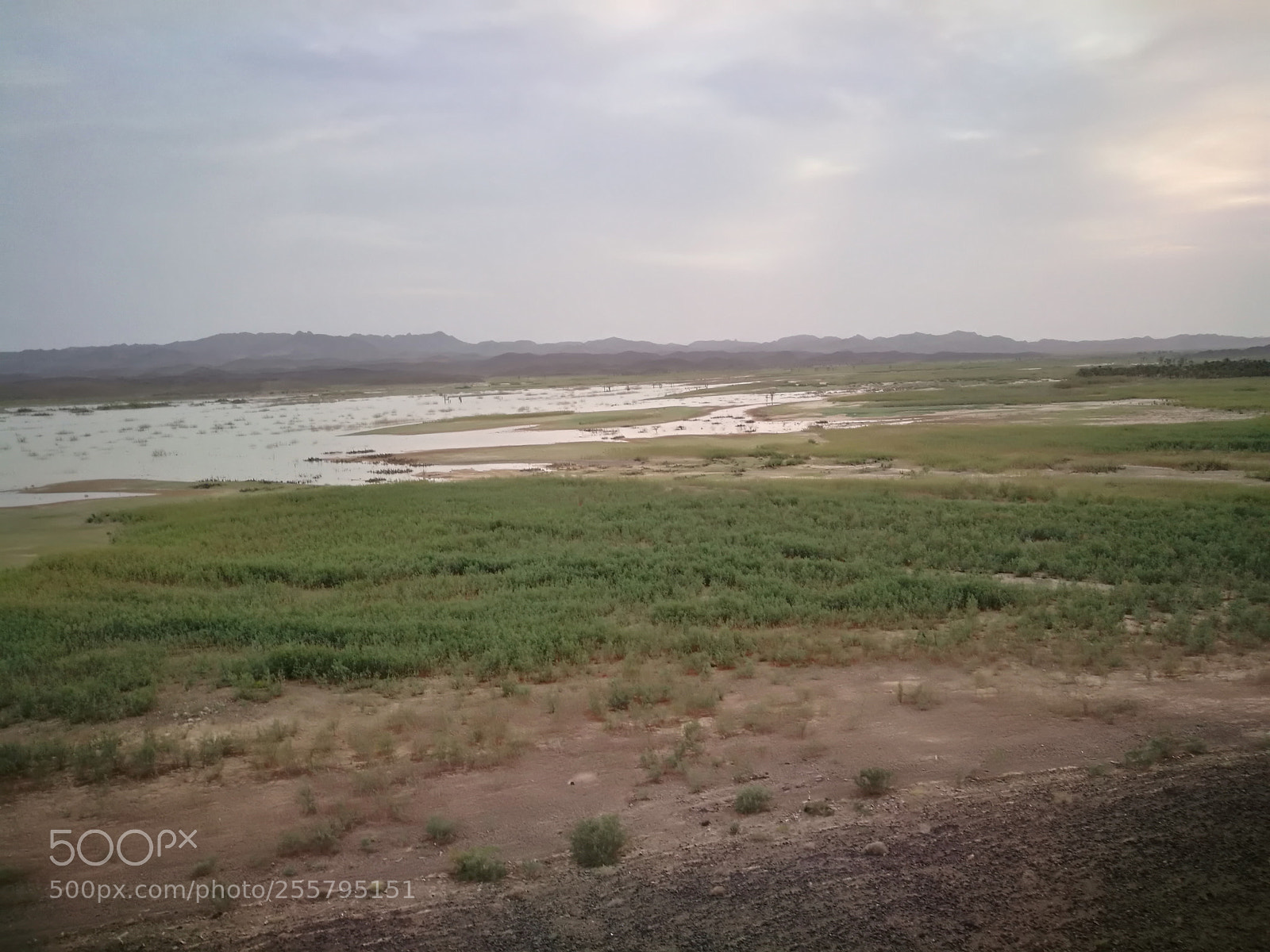 HUAWEI P9 sample photo. Bdr photography