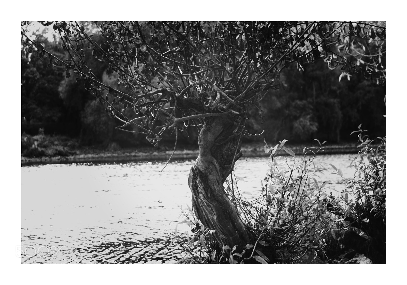 Canon EOS 350D (EOS Digital Rebel XT / EOS Kiss Digital N) sample photo. An der donau photography