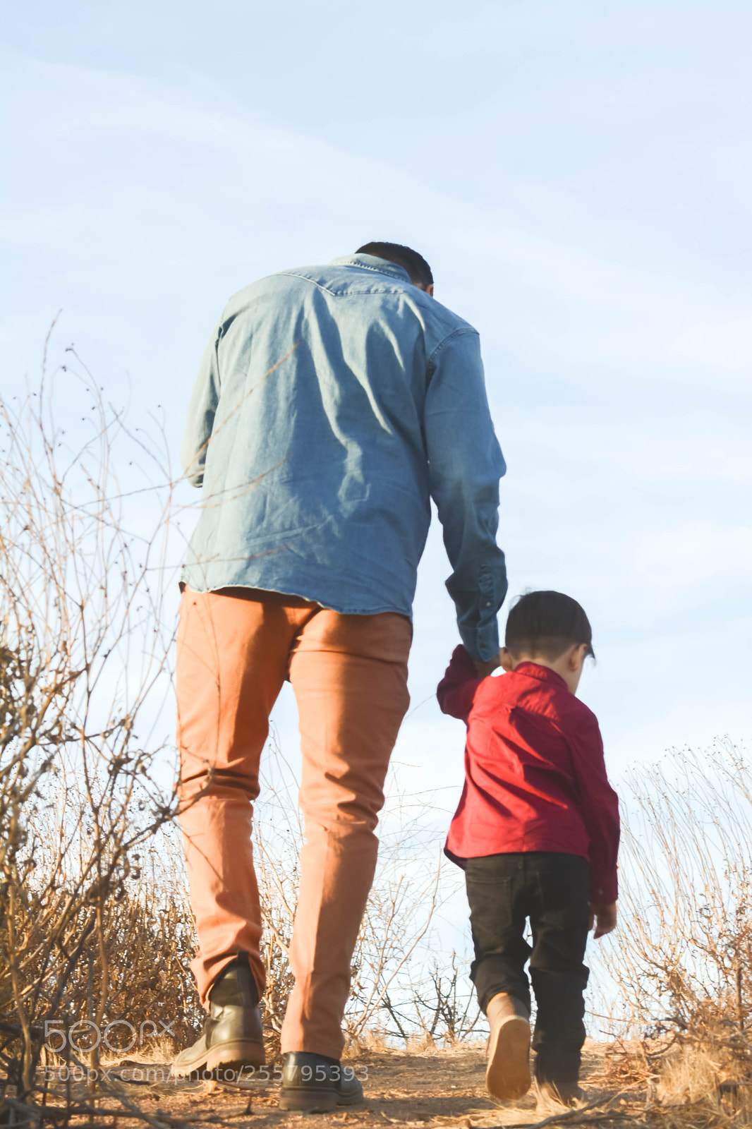 Nikon D7100 sample photo. Family photography