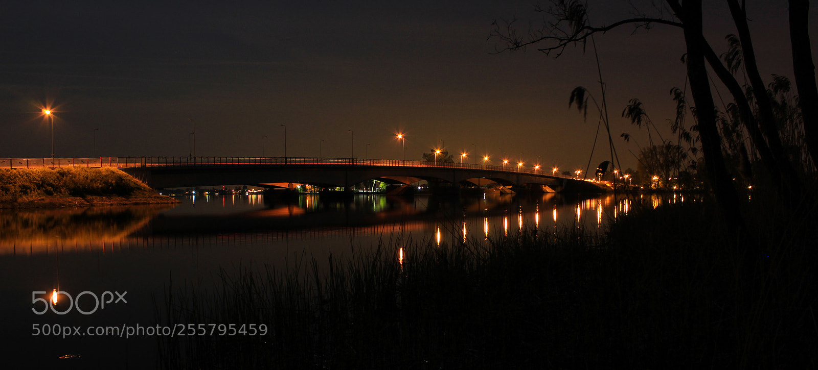 Canon EOS 1200D (EOS Rebel T5 / EOS Kiss X70 / EOS Hi) sample photo. Bridge at night photography