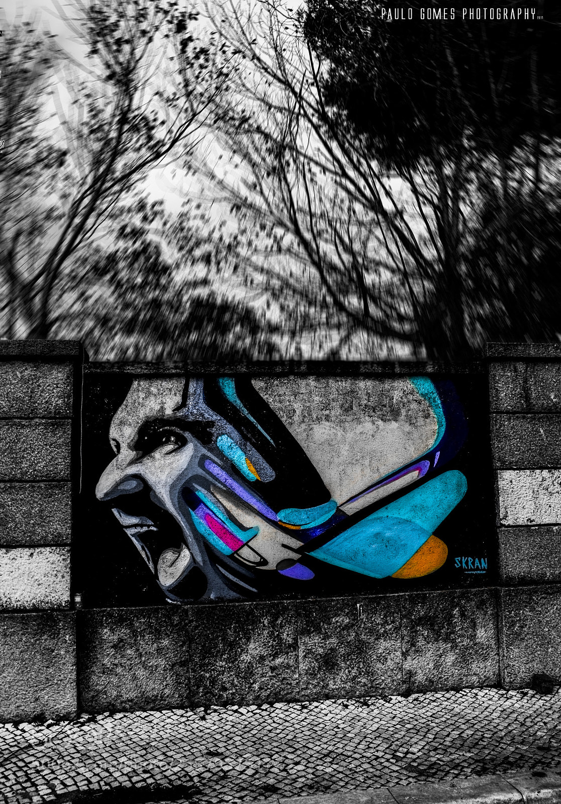 Nikon D3300 sample photo. Cantar n o gritar photography
