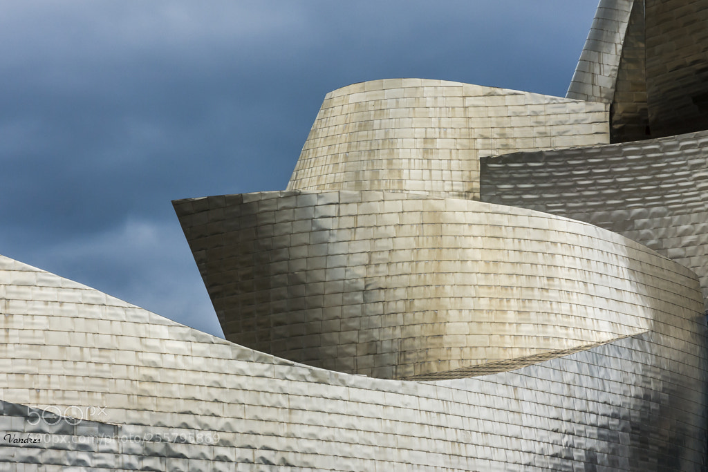 Canon EOS 40D sample photo. Guggenheim museum exterior bilbao photography