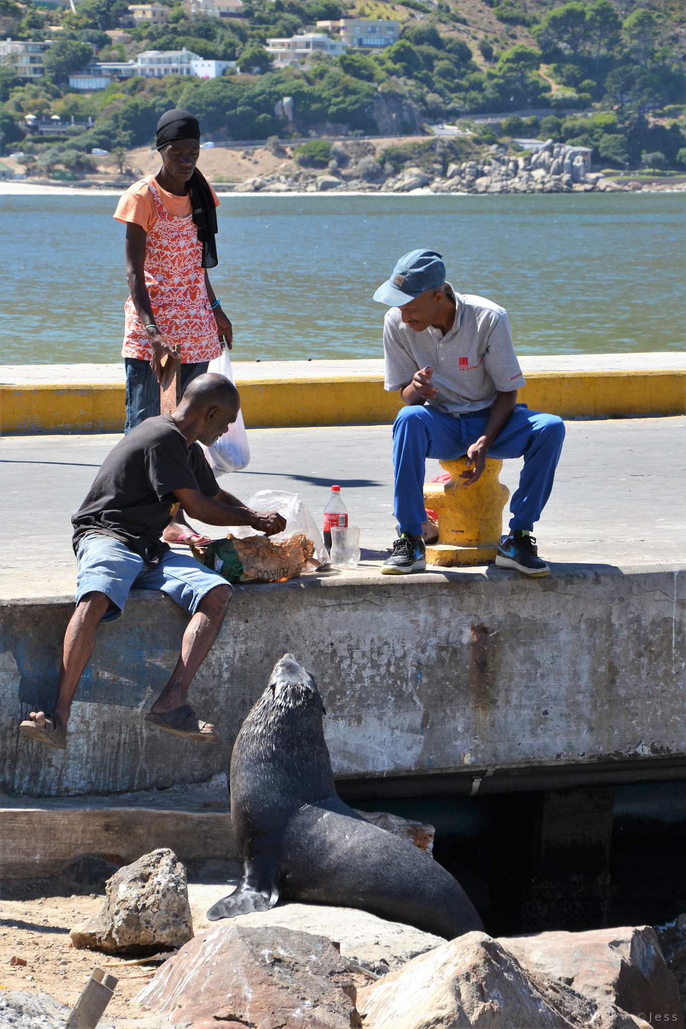 Nikon D3100 sample photo. Community photography