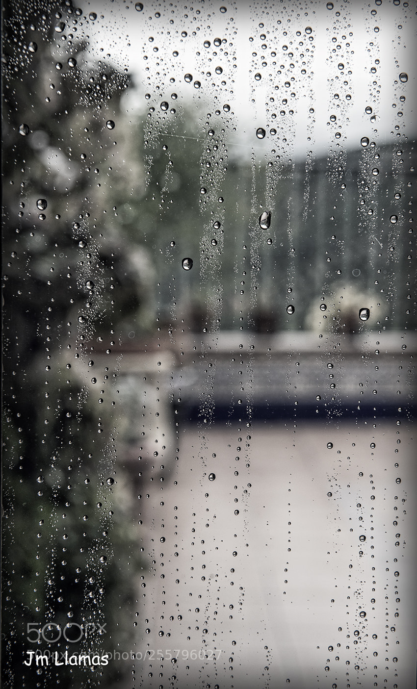 Nikon D610 sample photo. Lluviabn photography