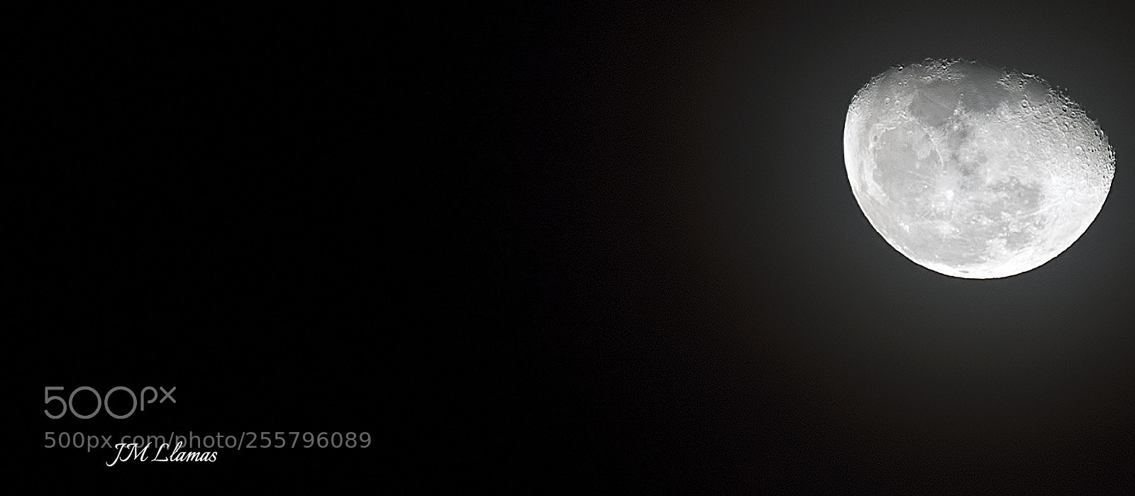 Nikon D610 sample photo. Luna photography