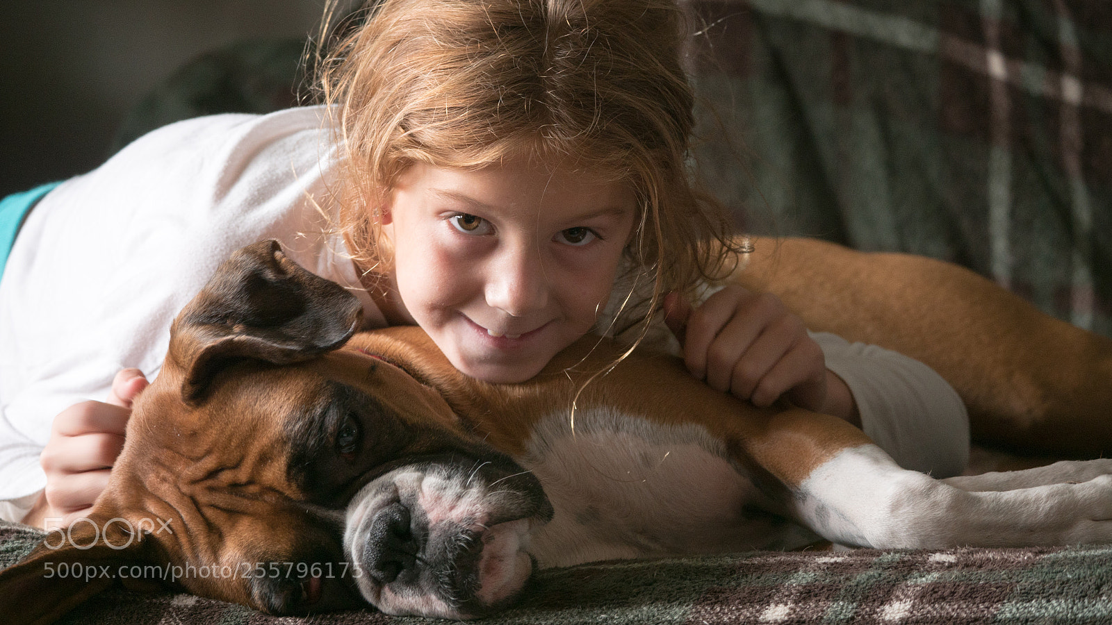 Panasonic Lumix DC-GH5 sample photo. Canine cuddle photography