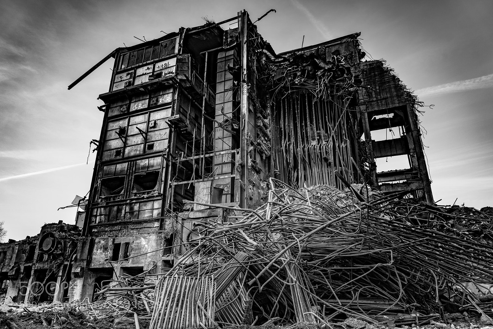 Sony a7R II sample photo. Rotten photography