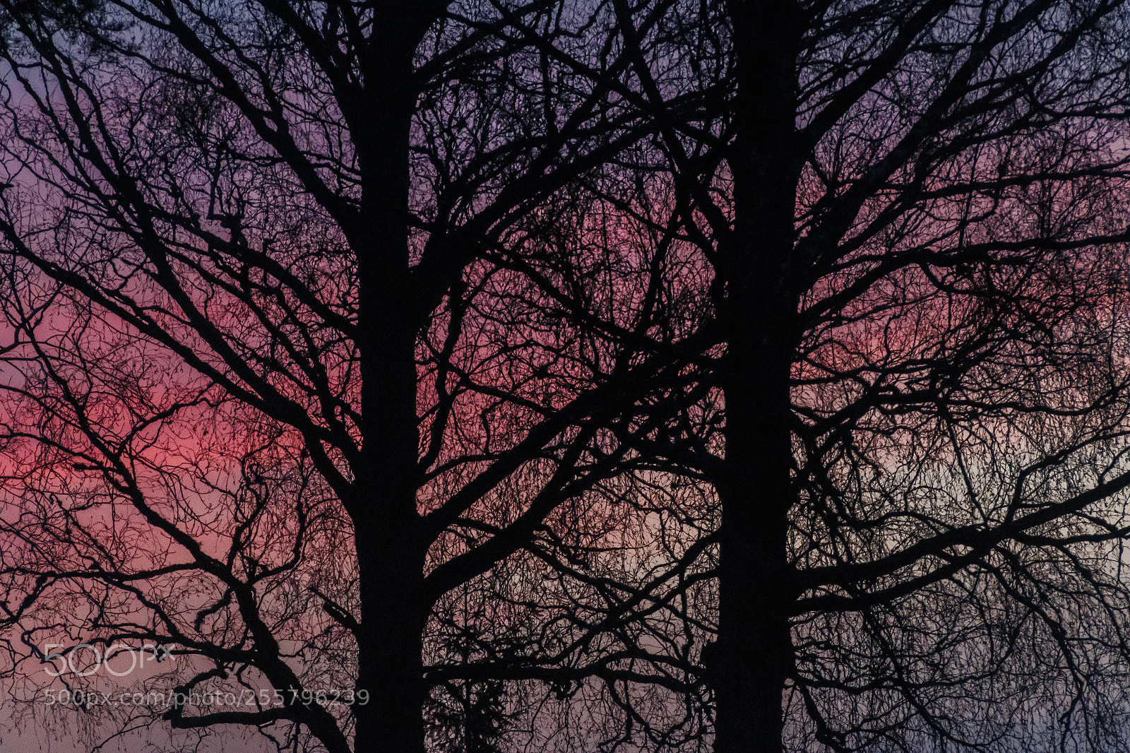 Canon EOS 70D sample photo. Evening colors photography