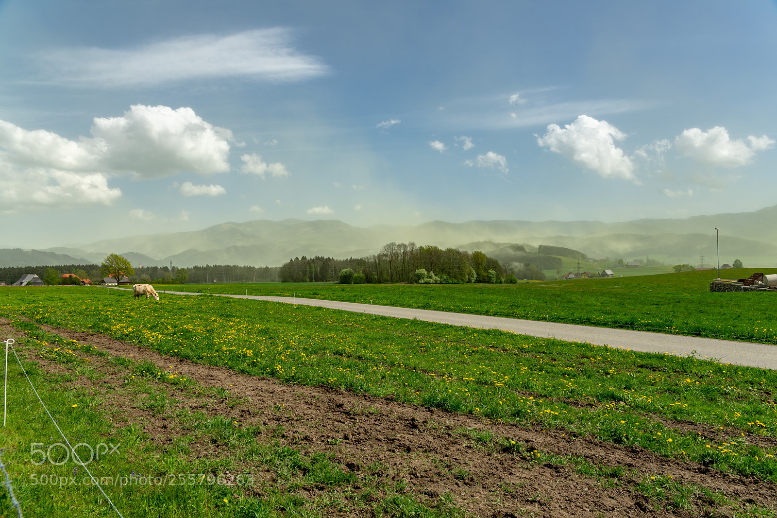 Sony a7 II sample photo. April photography